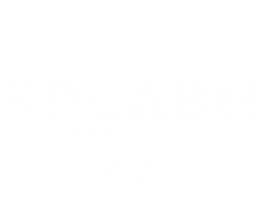 SPLASH 43